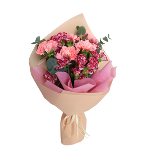 Gardens by the Bay - Plant Collection - Limited Edition - Treasured Moments_2