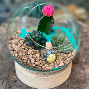 Gardens by the Bay - Plant Collection - The Mini Garden Series - The Glass Bowl Type A