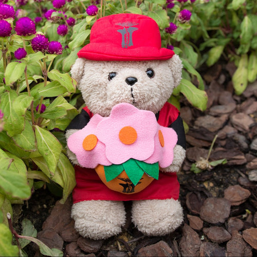 Gardens by the Bay - Merchandise Collection - Children - Gardens Bear - Precious Peggy with Flower (10 inch)