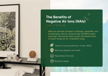 Load image into Gallery viewer, Gardens by the Bay - Plant Collection - Limited Edition - Natural Fibre Ionizer - CF4000
