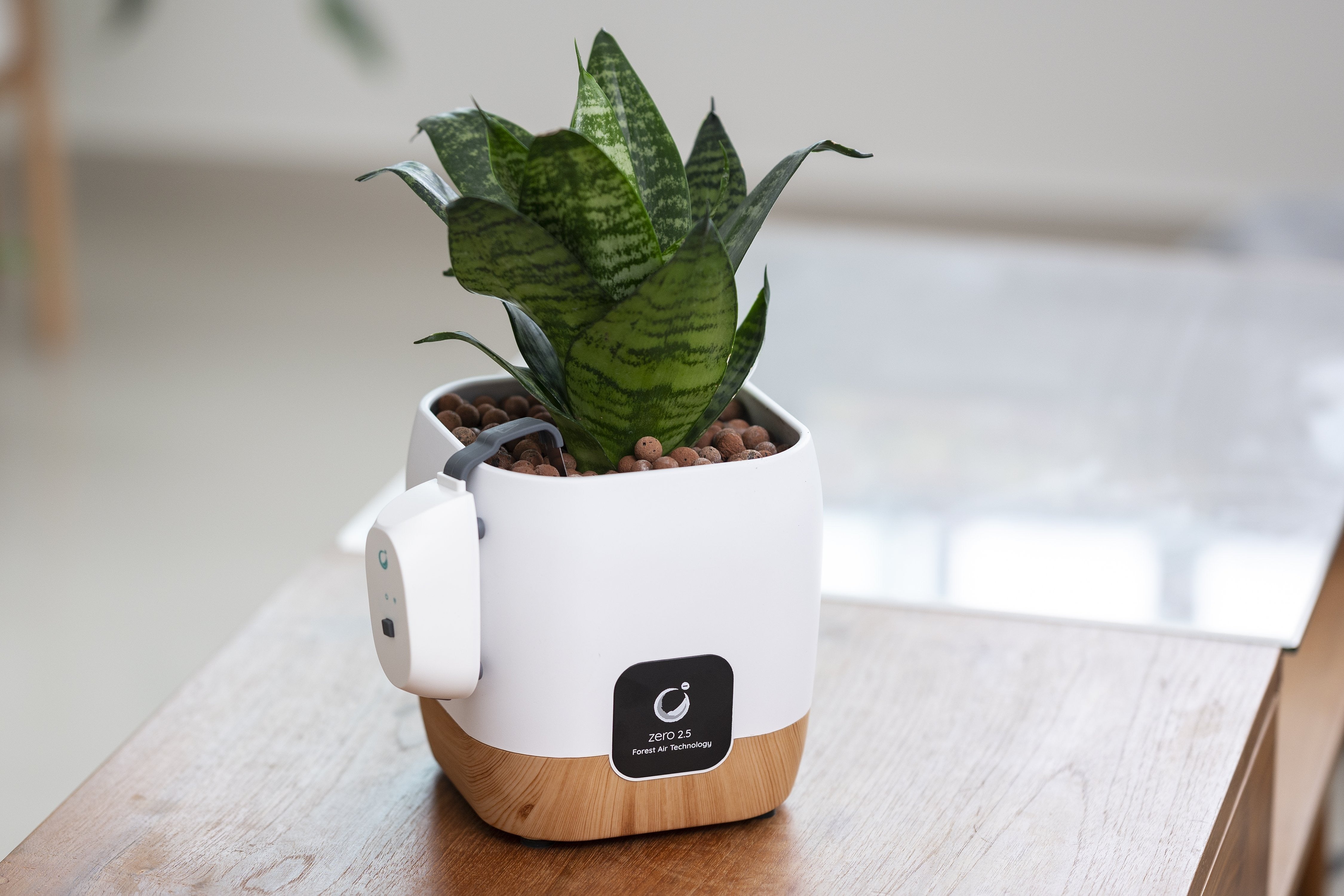 Ghl Snake Plant Ionizer - SP2800 – Gardens by the Bay eShop