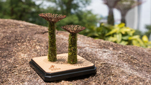 Mdswd Miniature Twin Supertrees