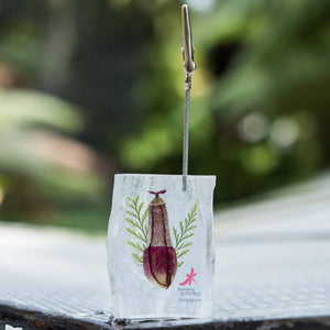 Gardens by the Bay - NEPENTHES COLLECTION - NEPENTHES PAPERCLIP