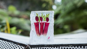 Gardens by the Bay - NEPENTHES COLLECTION - NEPENTHES PAPERWEIGHT (MEDIUM)