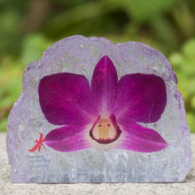 Load image into Gallery viewer, Mdpo Preserved Dendrobium Orchid Paperweight
