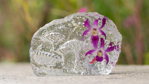 Mdspo Scenery Preserved Dendrobium Orchid Paperweight (Medium)