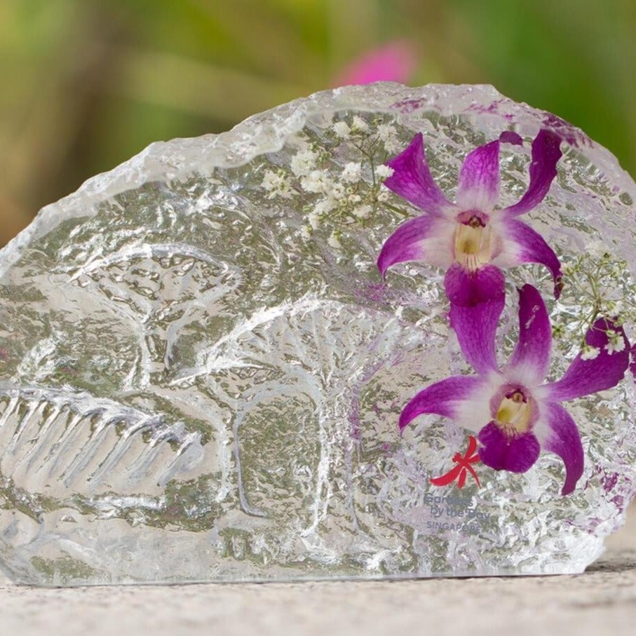Gardens by the Bay - Supertrees Preserved Orchid Collection -  SCENERY PRESERVED DENDROBIUM ORCHID PAPERWEIGHT (MEDIUM)