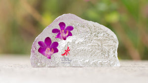 Mdspo Scenery Preserved Dendrobium Orchid Paperweight (Small)