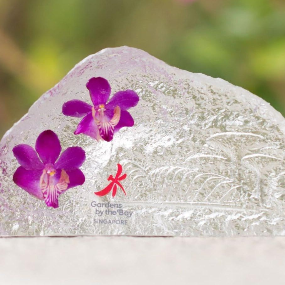 Gardens by the Bay - Supertree Preserved Orchid Collection - SCENERY PRESERVED DENDROBIUM ORCHID PAPERWEIGHT (SMALL) 