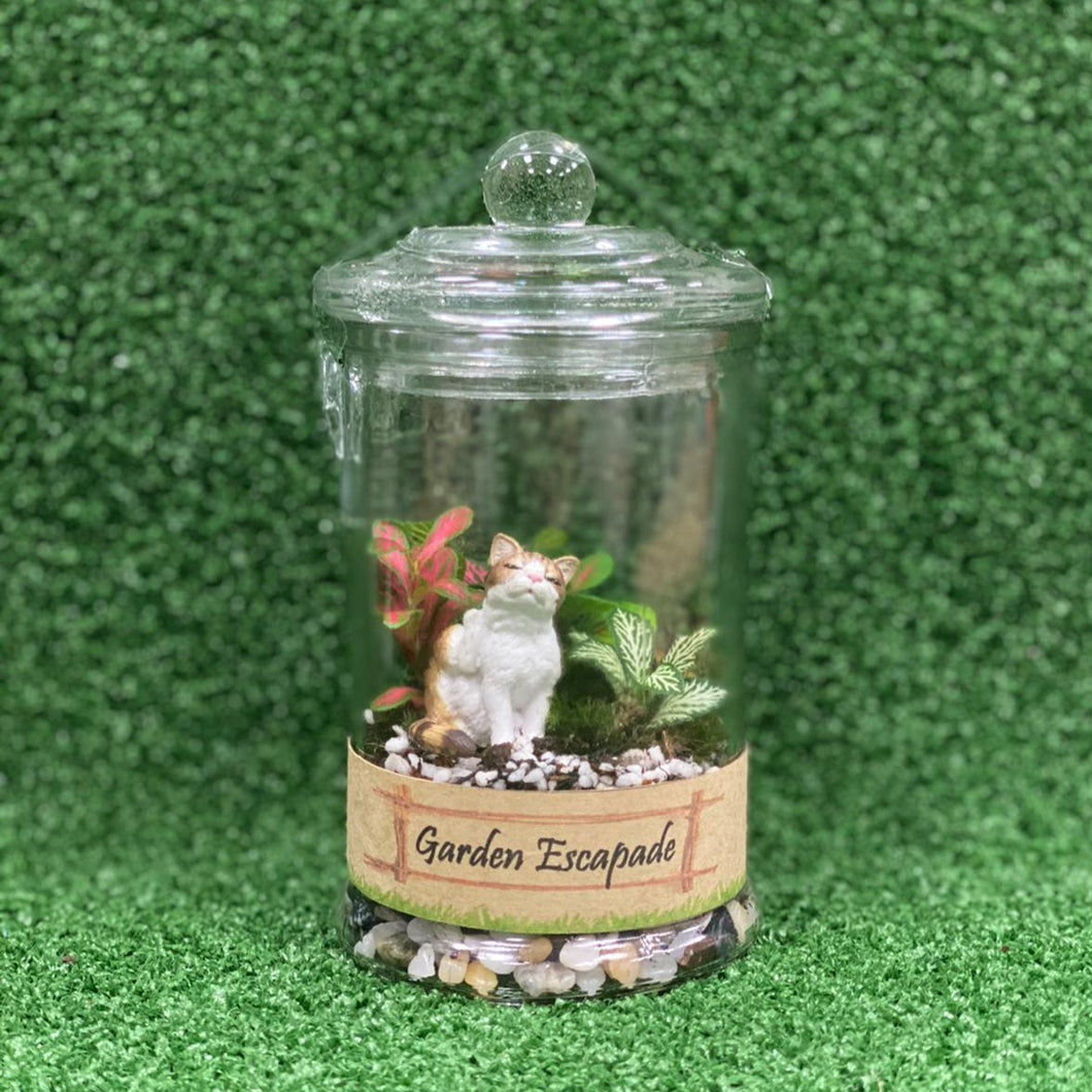 Gardens by the Bay - Plant Collection - Terrariums and Mini Gardens - Terrarium with Kitten figurine