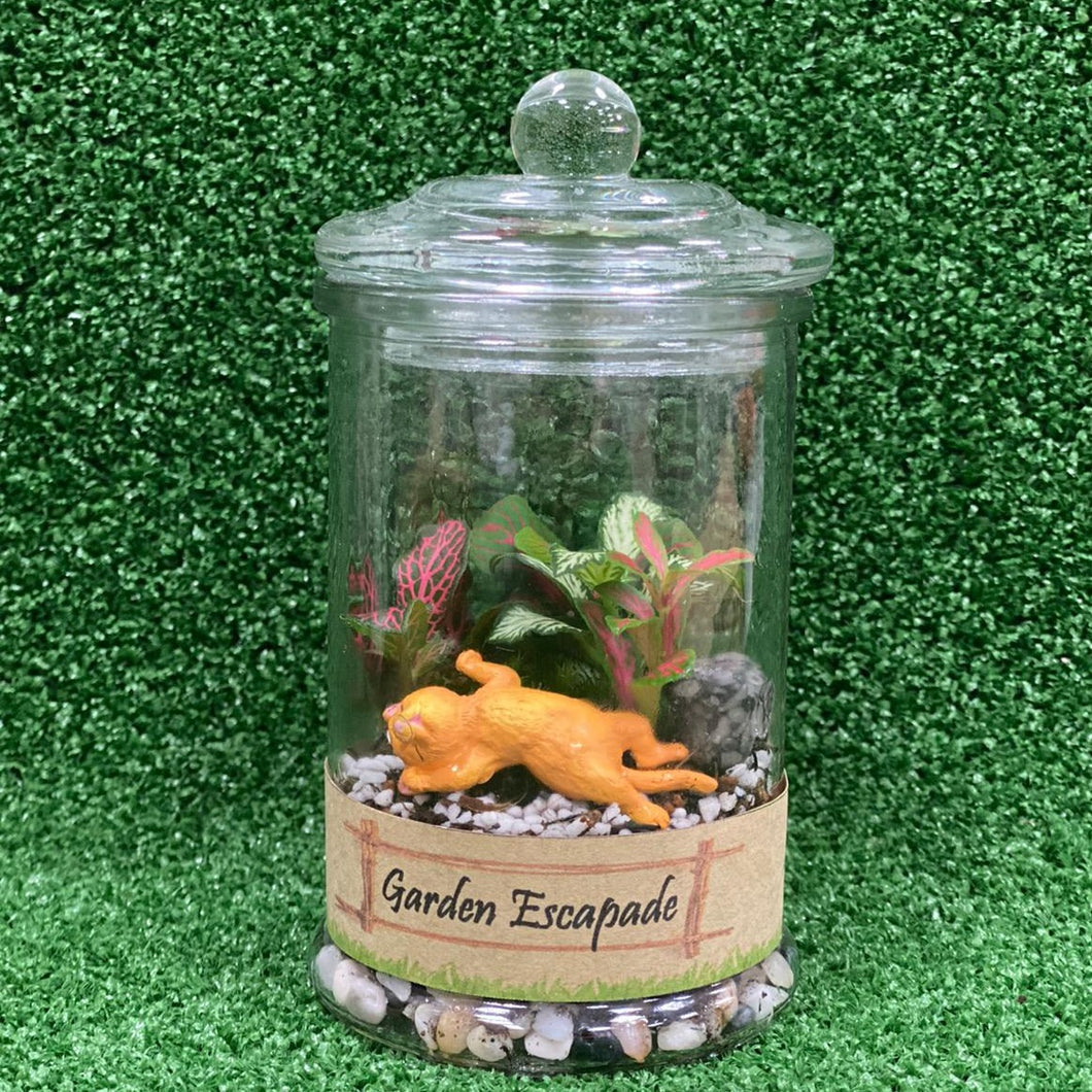 Gardens by the Bay - Plant Collection - Terrariums and Mini Gardens - Terrarium with Sleeping Cat figurine