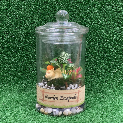 Gardens by the Bay - Plant Collection - Terrariums and Mini Gardens - Terrarium with Cat figurine