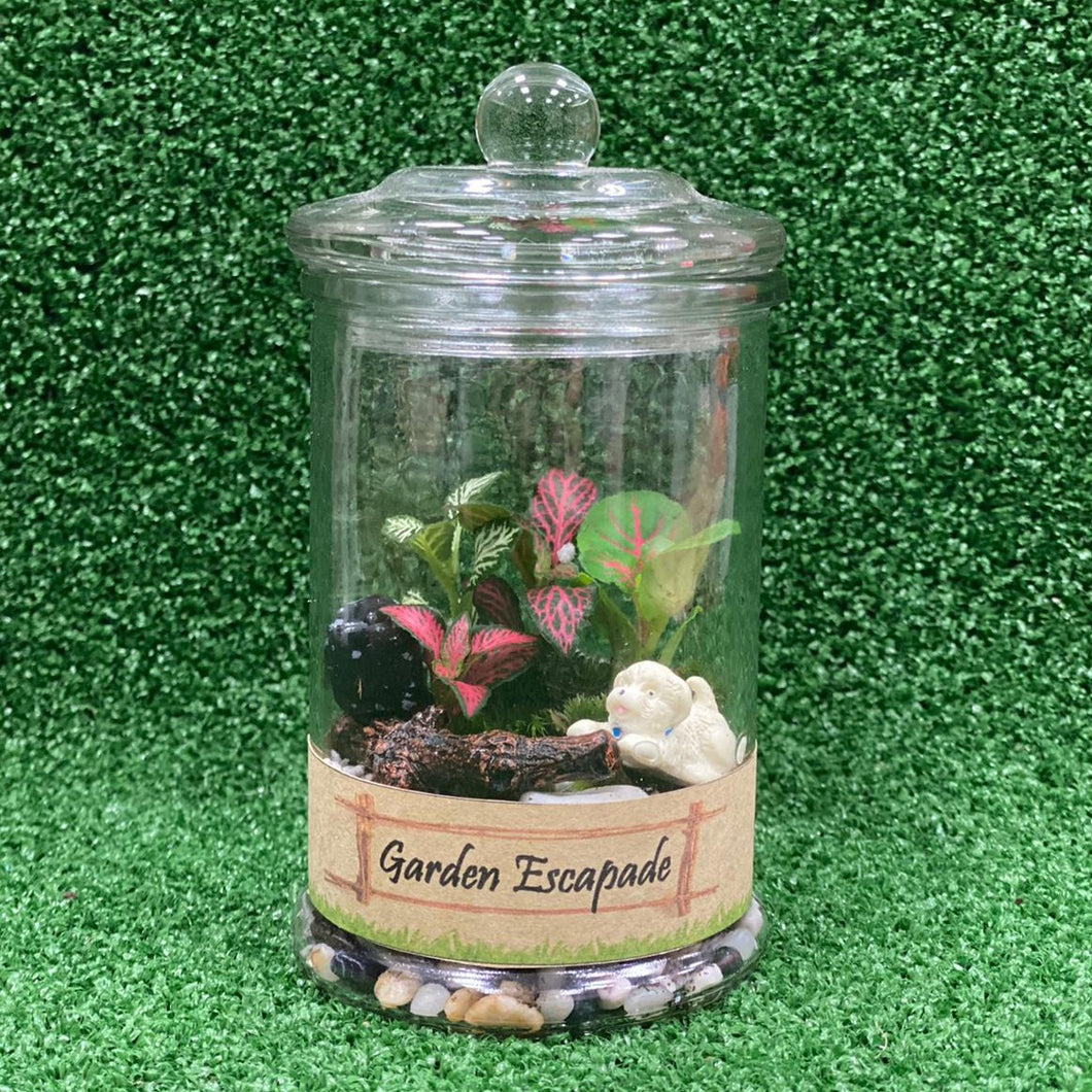 Gardens by the Bay - Plant Collection - Terrariums and Mini Gardens - Terrarium with Puppy figurine