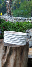 Load image into Gallery viewer, Gardens by the Bay - Gardening Supplies - Weaver White Ceramic Pot
