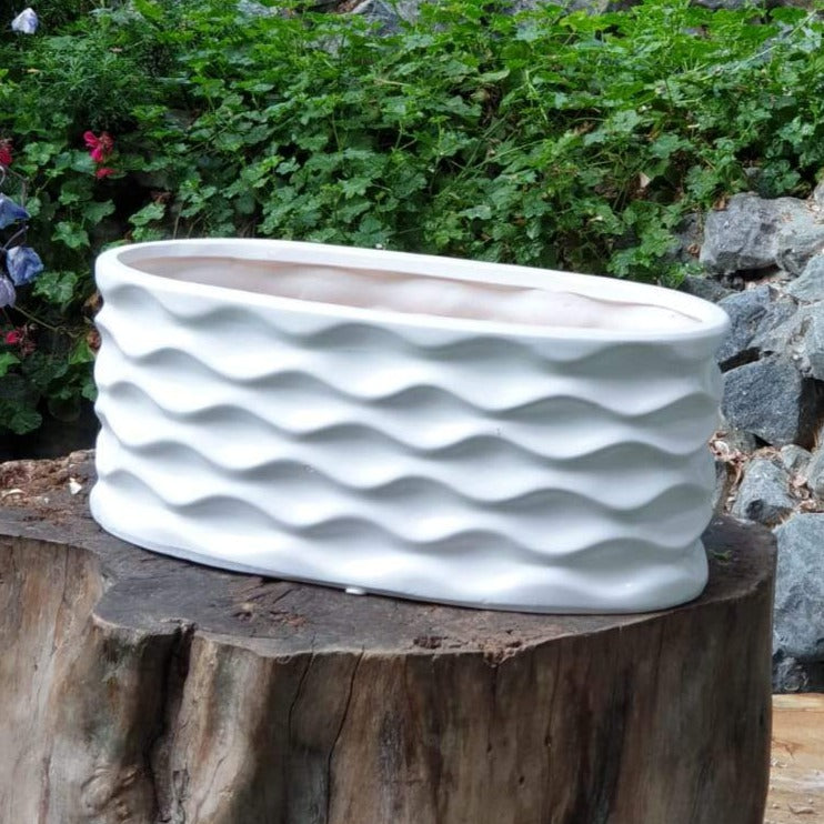 Gardens by the Bay - Gardening Supplies - Weaver White Ceramic Pot
