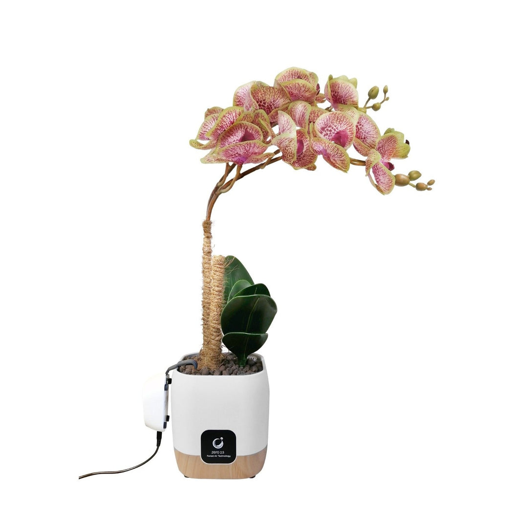 Gardens by the Bay - Plant Collection - Limited Edition - Faux Orchid Ionizer - AP2800