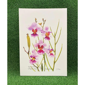 Gardens by the Bay - Merchandise Collection - Decoratives- Mdo Vanda Miss Joaquim Botanical Art Print