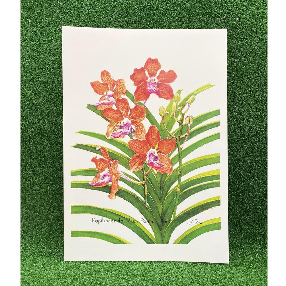 Gardens by the Bay - Merchandise Collection - Decoratives- Mdo Papilionanda Mimi Palmer Pink Botanical Art Print