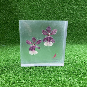 Gardens by the Bay - Preserved Exotic Orchid Collection - PRESERVED EXOTIC ORCHID PAPERWEIGHT (SMALL)