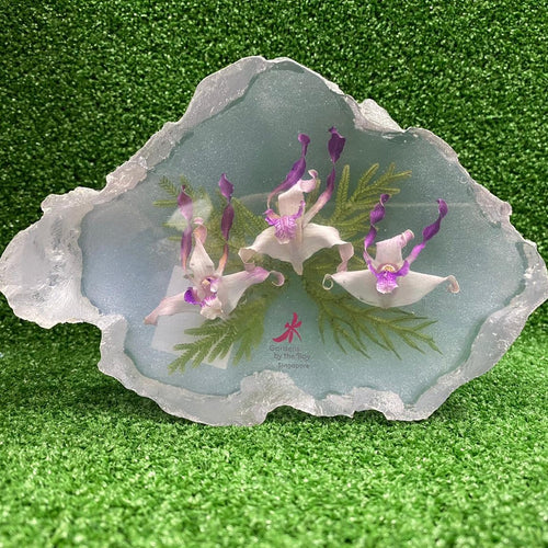 Mdpeo Preserved Exotic Orchid Paperweight (Large)